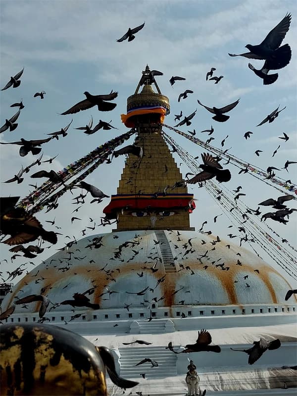 Tours in Nepal