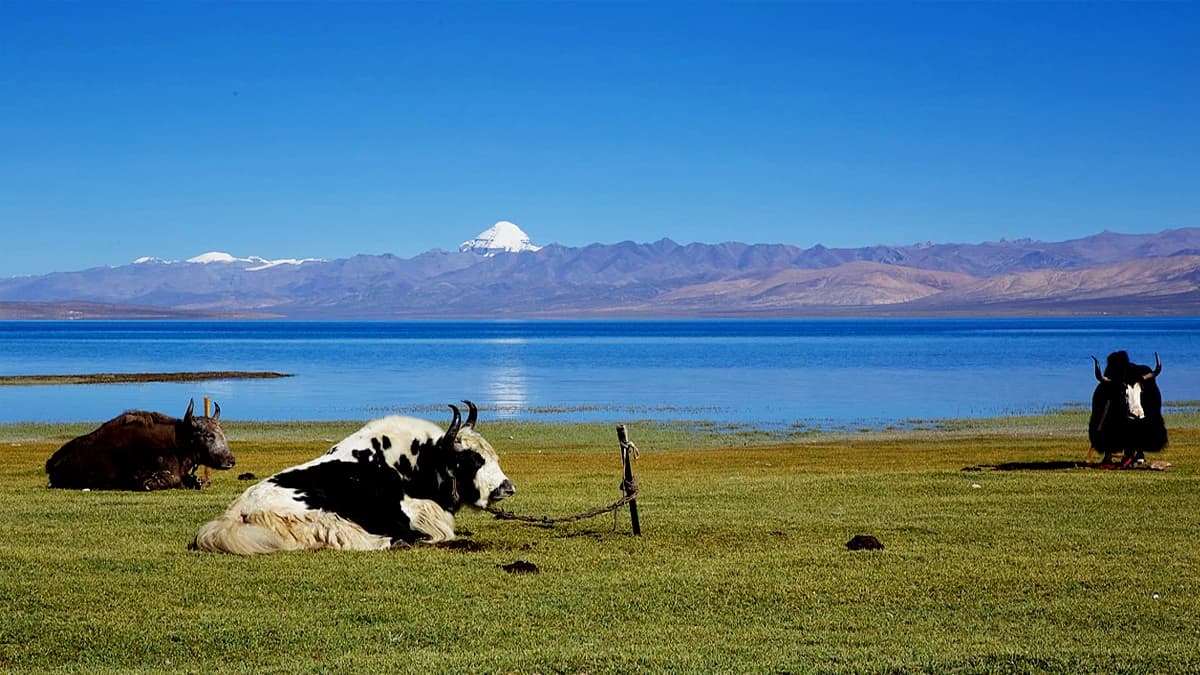 Kailash Mansarovar Tour