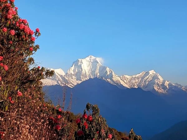 Ghorepani Poon Hill