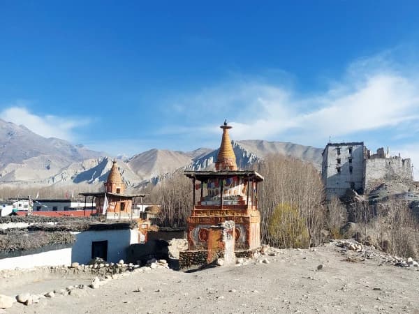 Mustang Trek 2