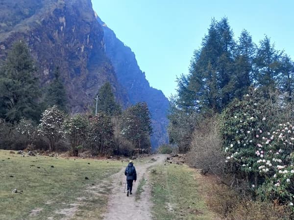 Tamang Heritage Trek