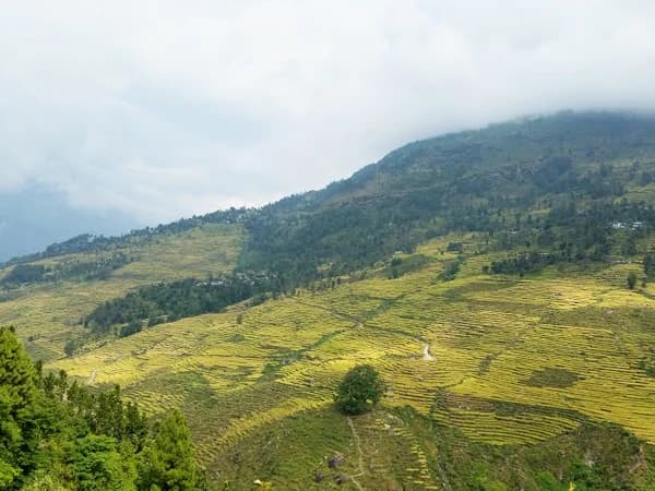 Organic Village Tour